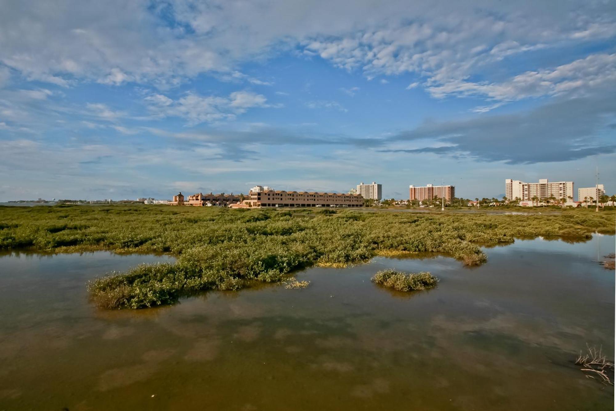 Suntide III Condominiums South Padre Island Room photo